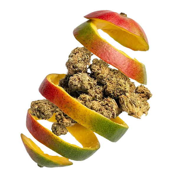 Cogollo oscuro y exótico de flores Punto Rojo CBD de la marca Melo