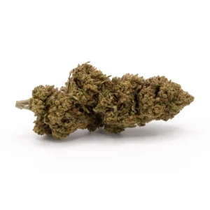 White Widow